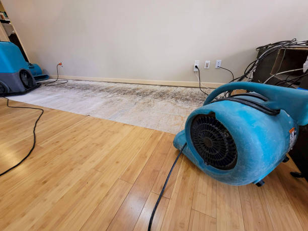 Professional Water Damage Repair technician working in Milford, NE